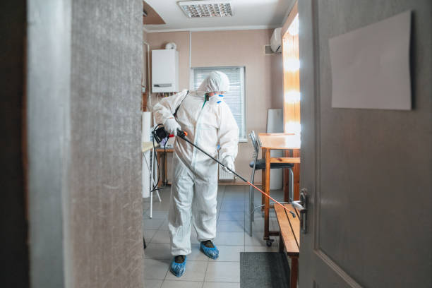 Valle Vista, CA Mold Removal Company